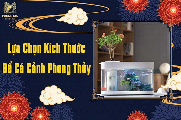 Lựa Chọn Kích Thước Bể Cá