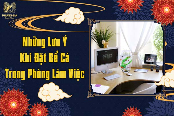 Những Lưu Ý Khi Đặt Bể Cá Trong Phòng Làm Việc
