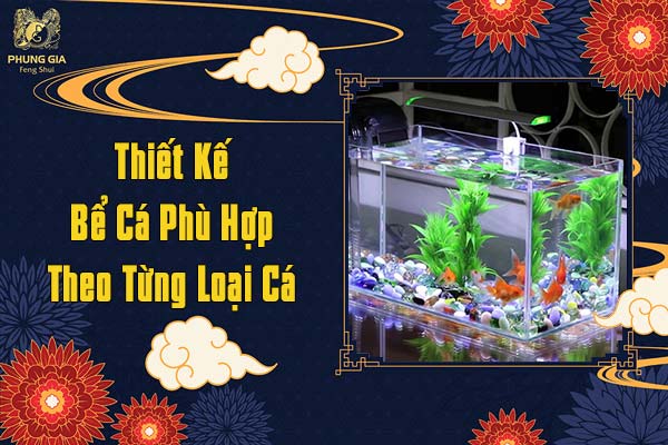 Thiết Kế Bể Cá Phù Hợp Theo Từng Loại Cá
