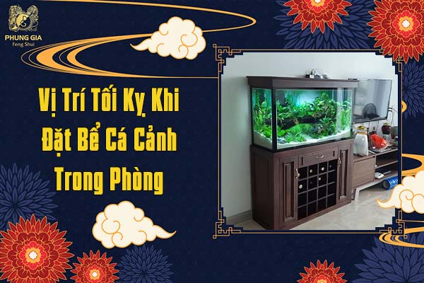Vị Trí Tối Kỵ Khi Đặt Bể Cá Trong Phòng
