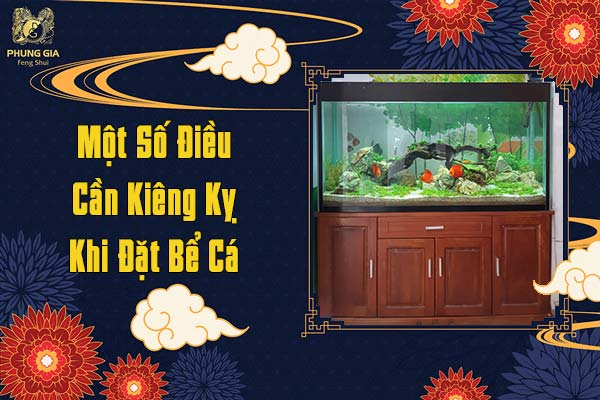 Một Số Điều Cần Kiêng Kỵ Khi Đặt Bể Cá