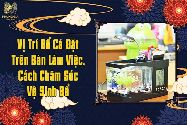 Vị Trí Đặt Bể Cá Trên Bàn Làm Việc Cách Chăm Sóc Vệ Sinh Bể