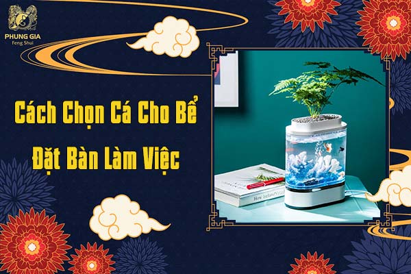 Cách Chọn Cá Cho Bể Cá Đặt Bàn Làm Việc