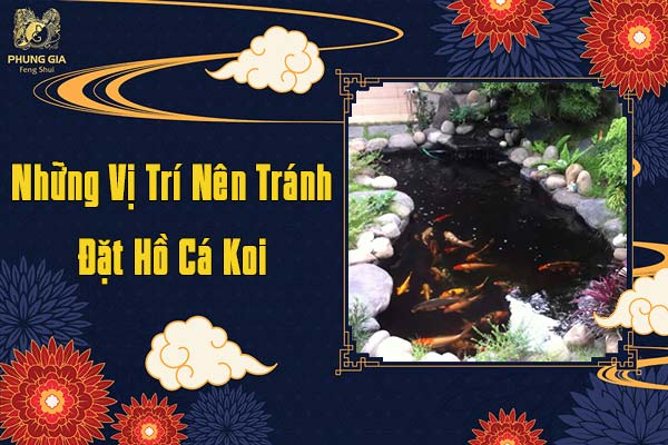Những Vị Trí Nên Tránh Đặt Hồ Cá Koi
