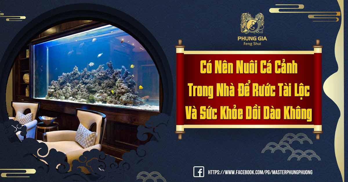 Có Nên Nuôi Cá Trong Nhà