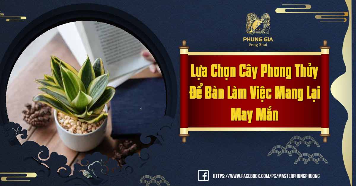 Cây Phong Thủy Để Bàn Làm Việc