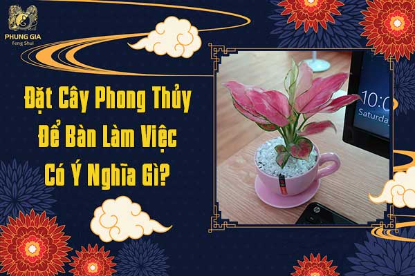 Đặt Cây Phong Thủy Để Bàn làm Việc Có Ý Nghĩa Gì