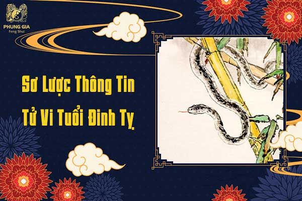 Sơ Lược Thông Tin Tử Vi Tuổi Đinh Tỵ
