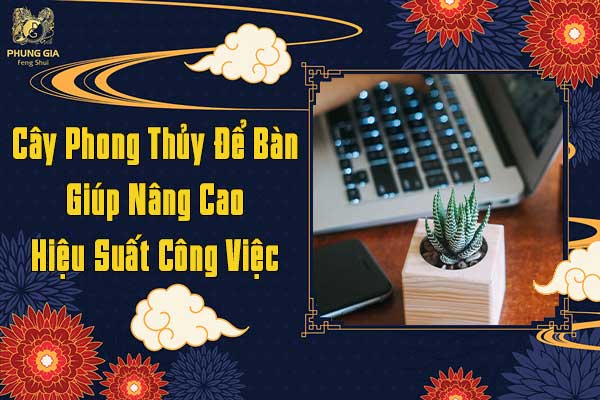 Cây Phong Thủy Để Bàn Giúp Nâng Cao Hiệu Suất Công Việc