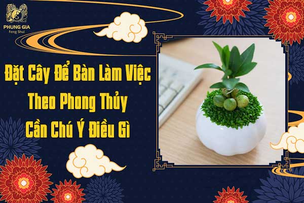 Khi Đặt Cây Để Bàn Làm Việc Theo Phong Thủy Cần Chú Ý Điều Gì