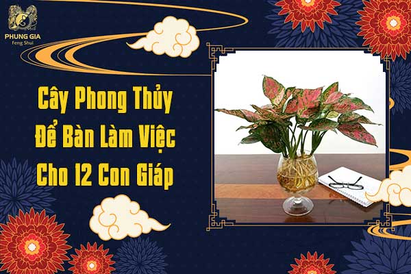 Cây Phong Thủy Để Bàn Làm Việc Cho 12 Con Giáp Giúp Tăng Tài Lộc