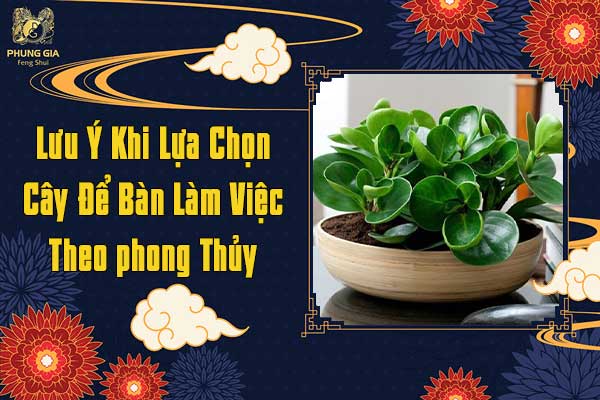 Lưu Ý Khi Chọn Cây Cảnh Để Bàn Làm Việc Theo Phong Thủy