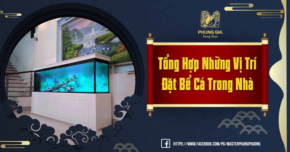 Vị Trí Đặt Bể Cá Trong Nhà