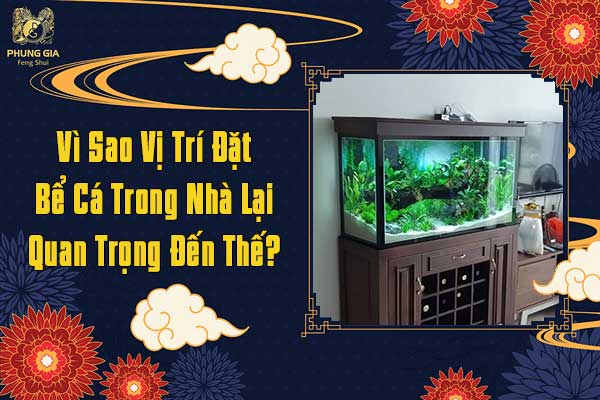 Vì Sao Vị Trí Đặt Bể Cá Trong Nhà Lại Quan Trọng Đến Thế