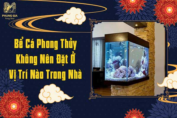 Bể Cá Phong Thủy Không Nên Đặt Ở Vị Trí Nào Trong Nhà
