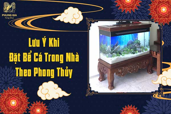 Lưu Ý Khi Đặt Bể Cá Trong Nhà Theo Phong Thủy