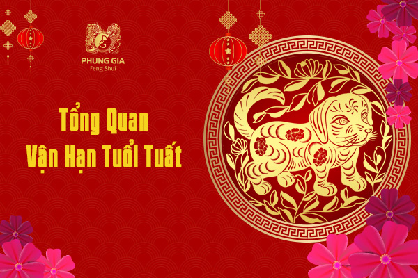 Tổng Quan Vận Hạn Tuổi Tuất