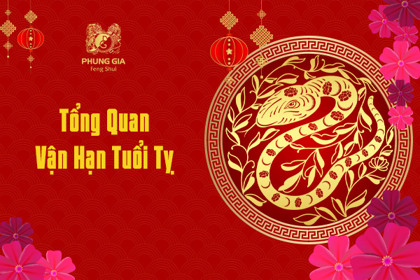 Tổng Quan Vận Hạn Tuổi Tỵ