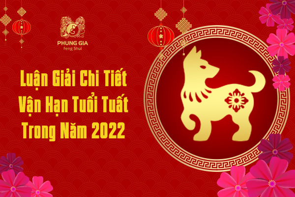 Luận Giải Chi Tiết Vận Hạn Tuổi Tuất Trong Năm 2022