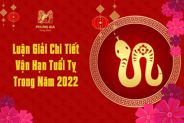  Luận Giải Chi Tiết Vận Hạn Tuổi Tỵ Trong Năm 2022