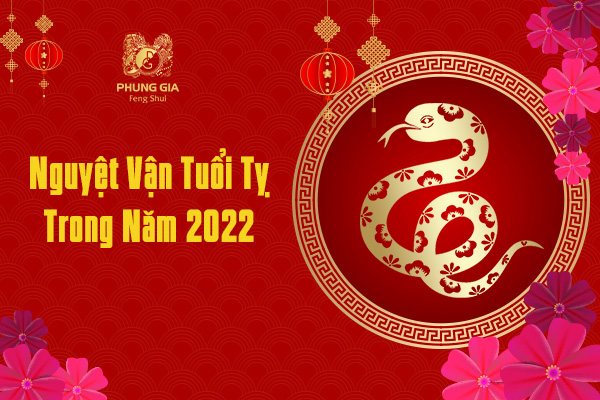 Nguyệt Vận Tuổi Tỵ Trong Năm 2022