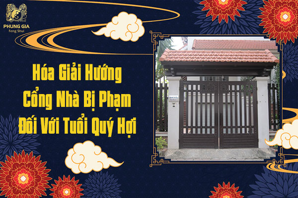 Hóa Giải Hướng Cổng Nhà Bị Phạm Đối Với Tuổi Quý Hợi
