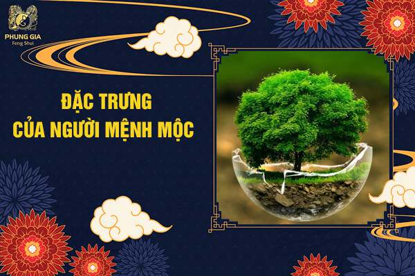 Đặc Trưng Của Người Mệnh Mộc
