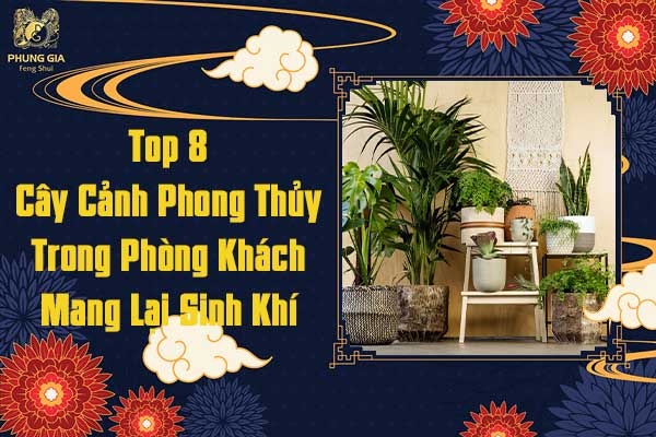 Top 8 Cây Cảnh Phong Thủy Trong Phòng Khách Mang Lại Sinh Khí