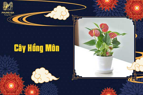 Cây Hồng Môn