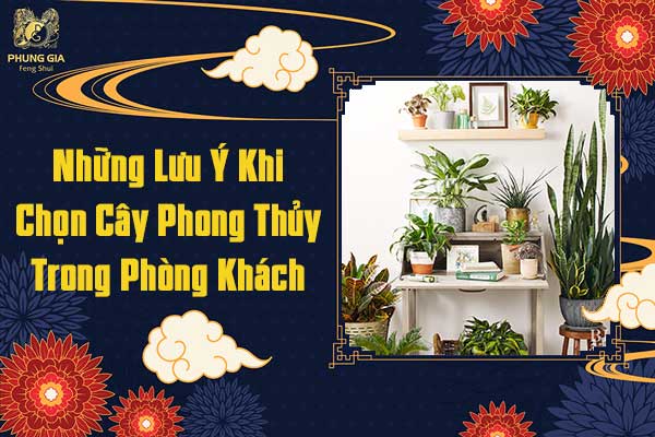 Những Lưu Ý Khi Chọn Cây Phong Thủy Trong Phòng Khách