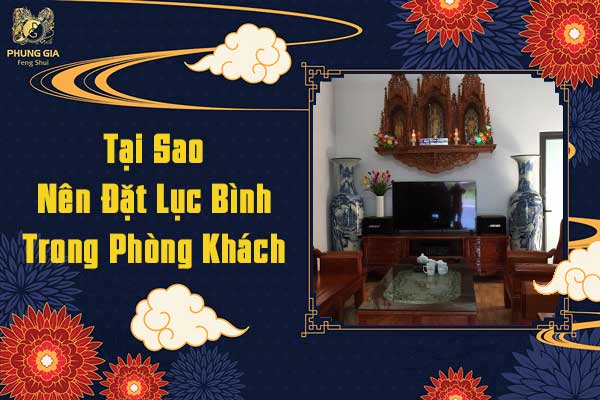 Tại Sao Nên Đặt Lục Bình Trong Phòng Khách