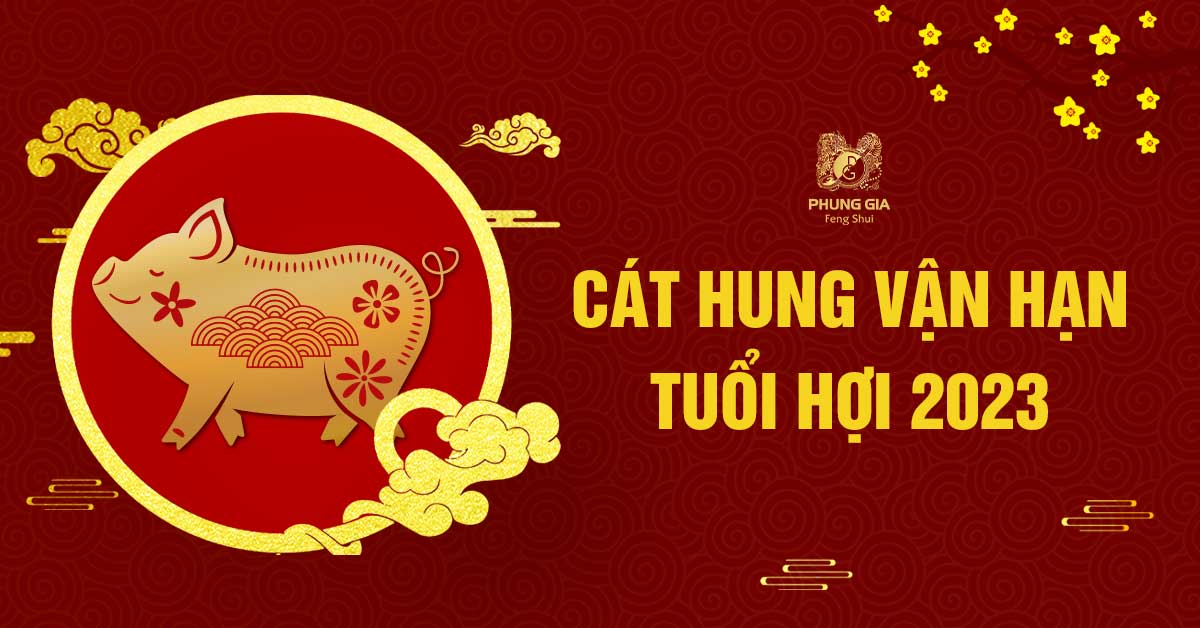 Lá số vận hạn tuổi Hợi