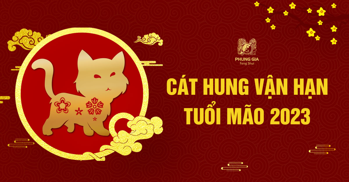 Lá Số Vận Hạn Tuổi Mão