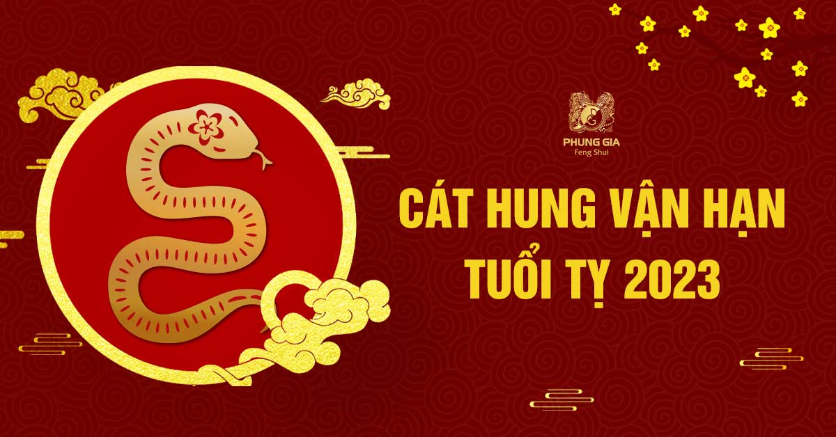 Lá Số Vận Hạn Tuổi Tỵ