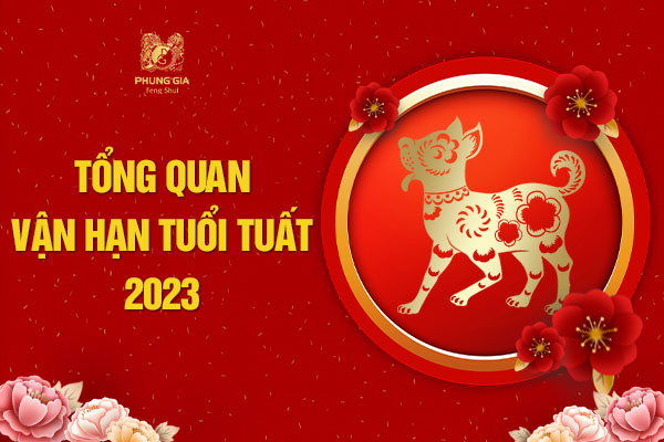 Tổng quan lá số vận hạn tuổi Tuất