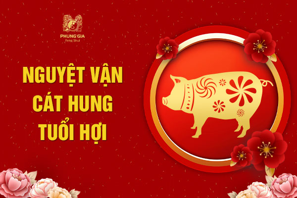 Vận Hạn Từng Tháng Tuổi Hợi