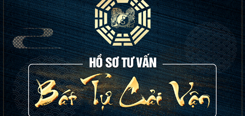 Hồ sơ bát tự 10 năm