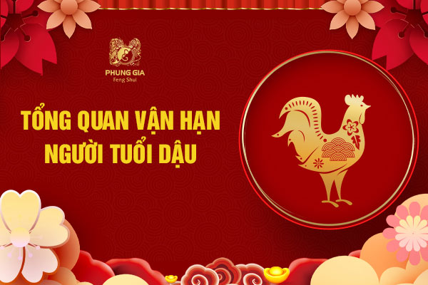 Tổng quan lá số vận hạn tuổi Dậu 2024