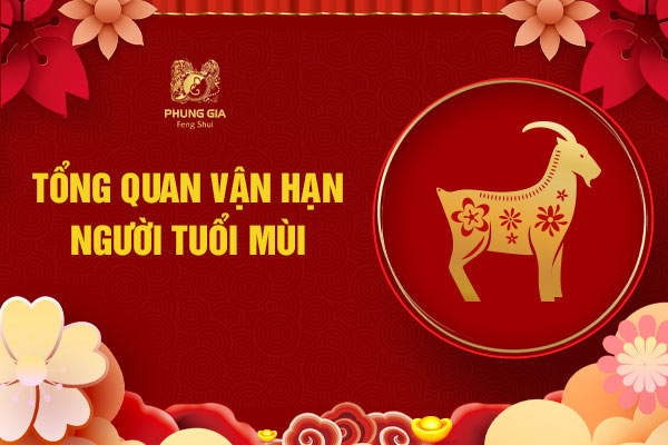 Tổng quan lá số vận hạn tuổi Mùi 2024