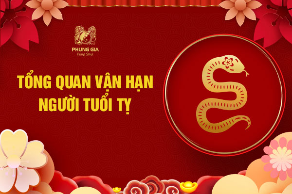 Tổng quan lá số vận hạn tuổi Tỵ 2024
