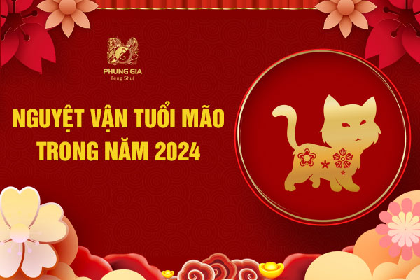 Nguyệt vận từng tuổi Mão